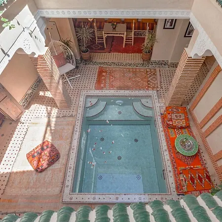 Riad Salman-3